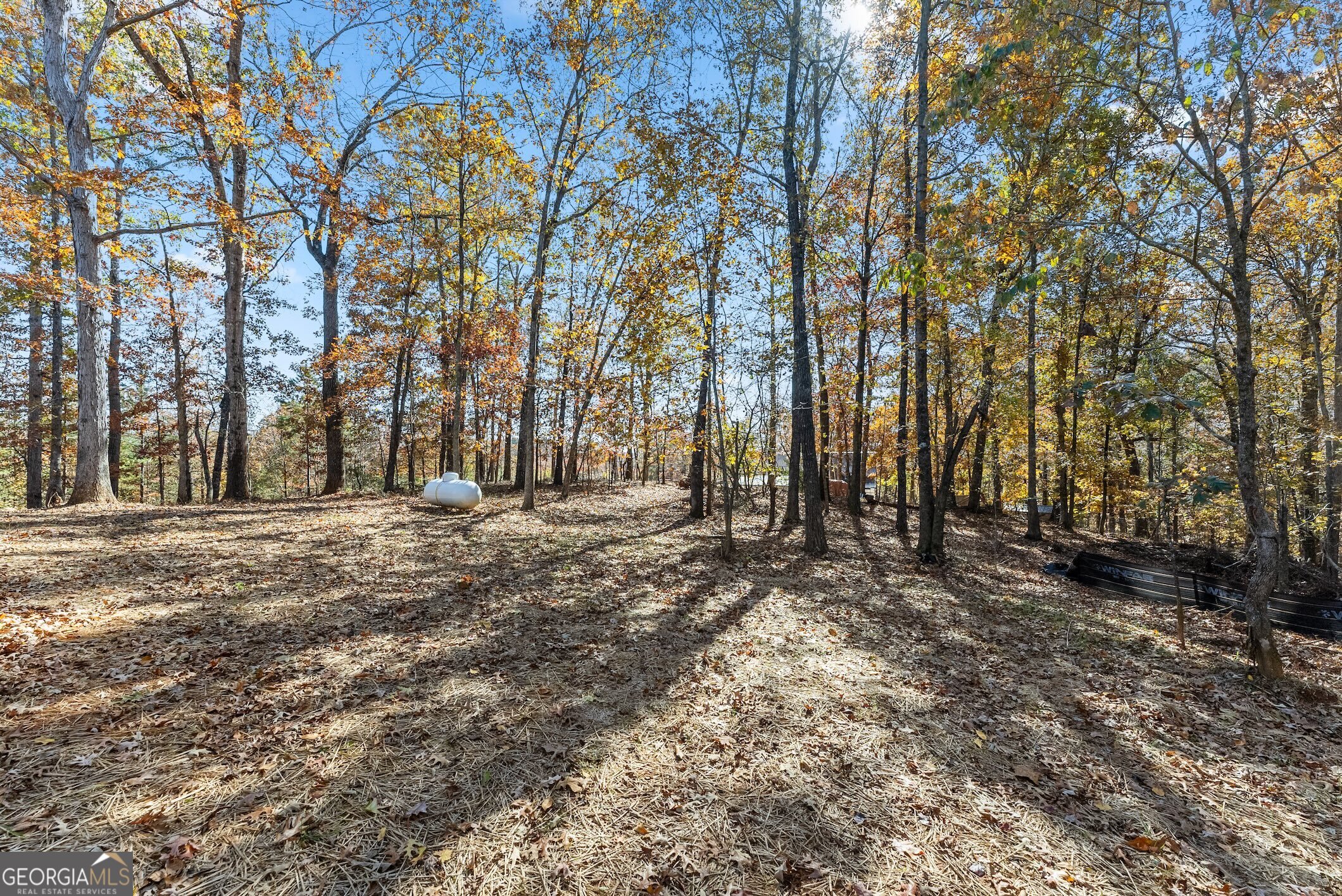 339 Hickory Ridge Drive