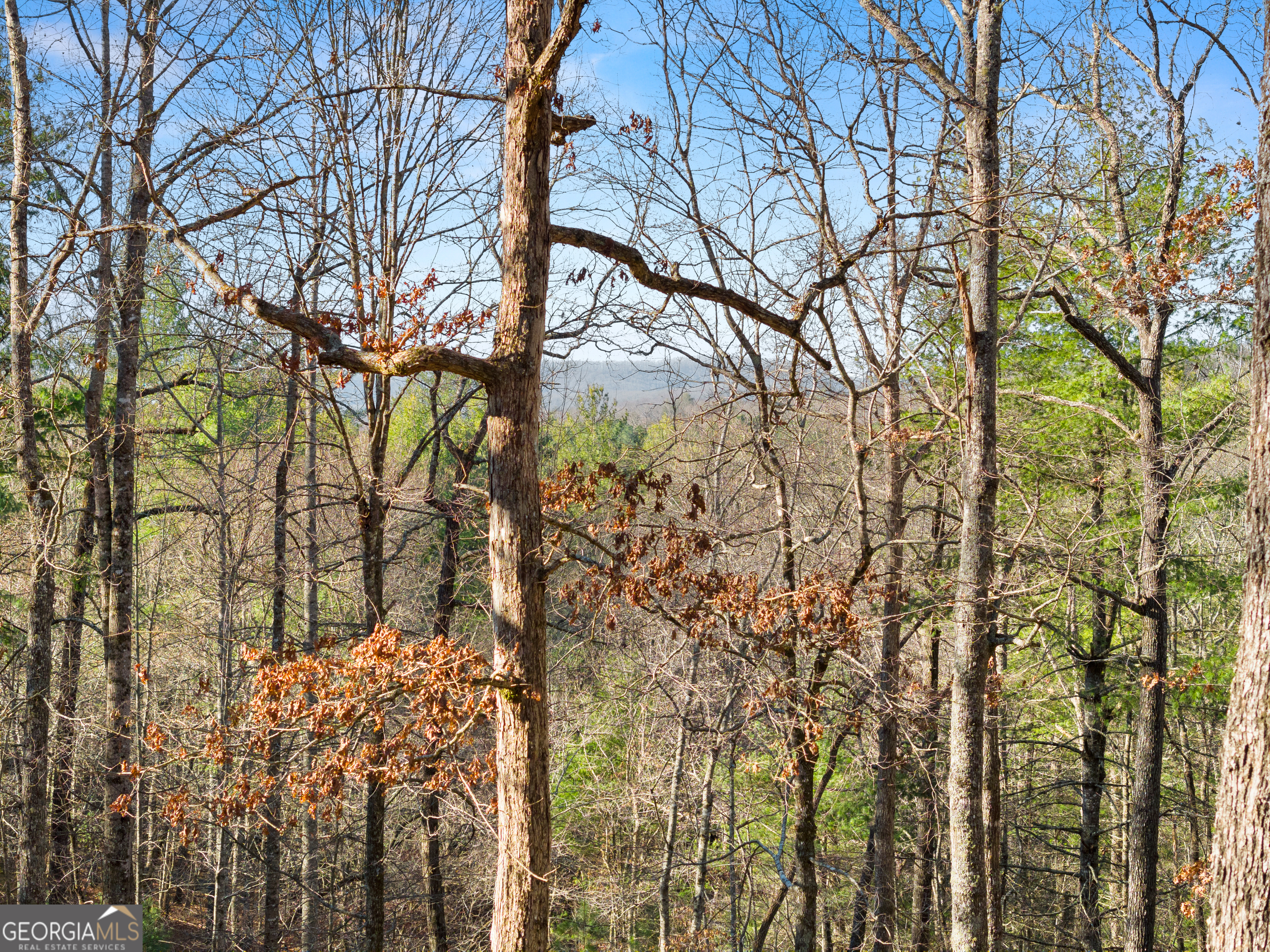 234 Old Indian Trail