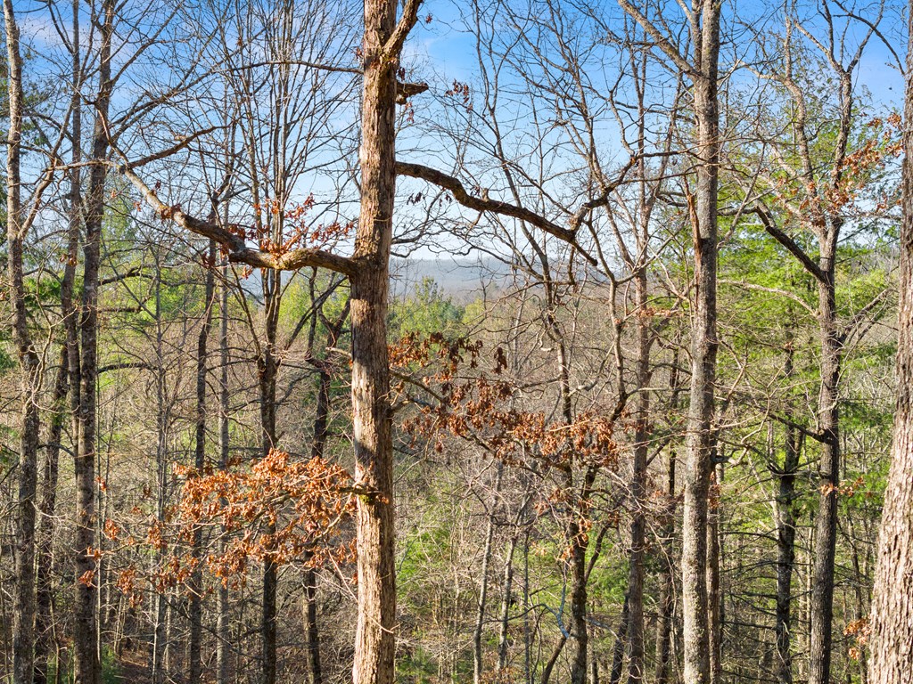 234 Old Indian Trail
