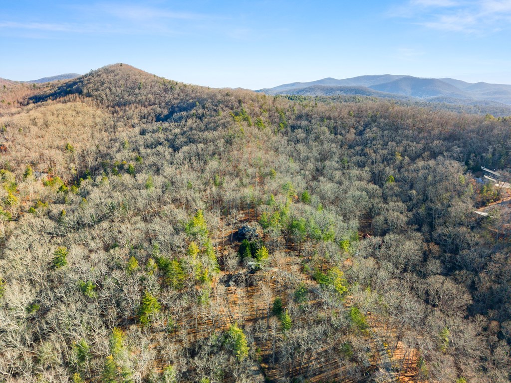 234 Old Indian Trail