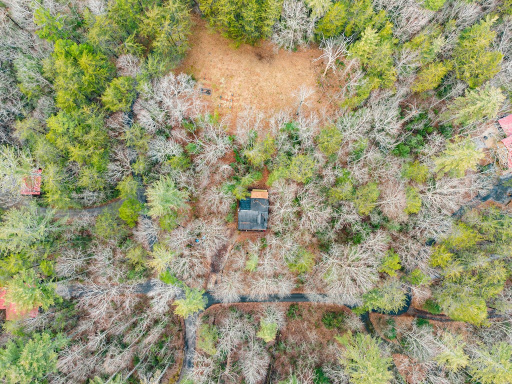 3 Ramblewood Drive