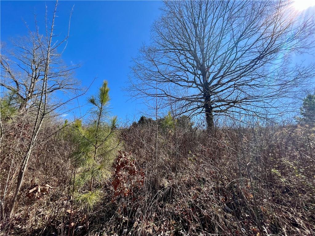 0 Oak Valley Court