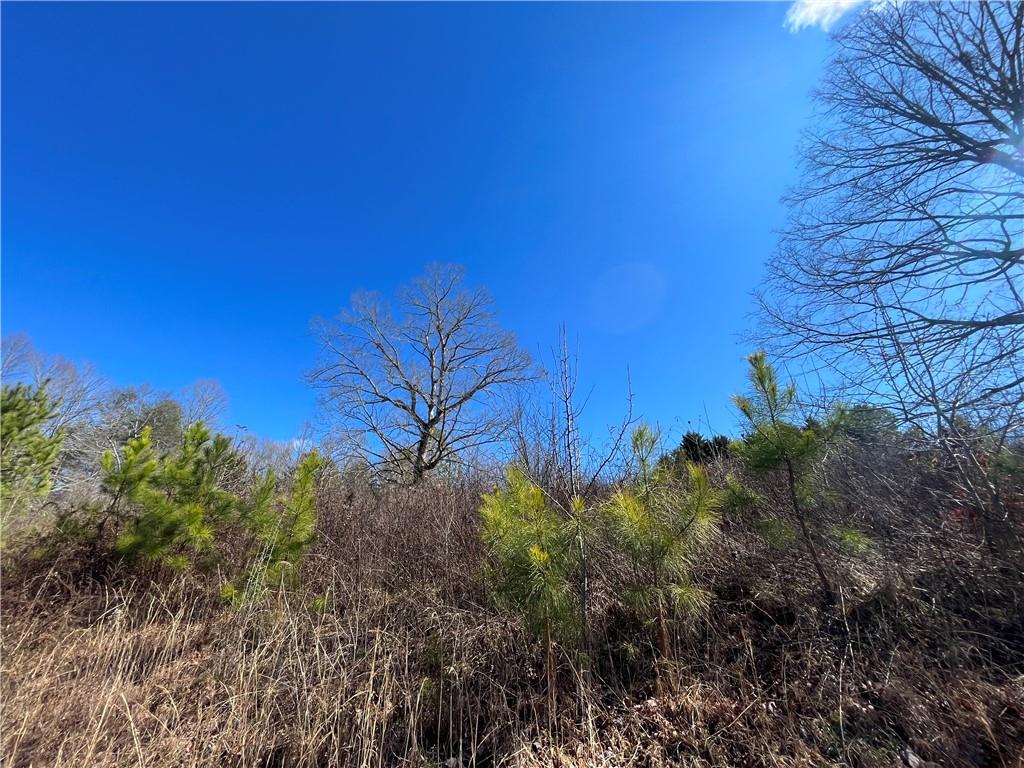 0 Oak Valley Court