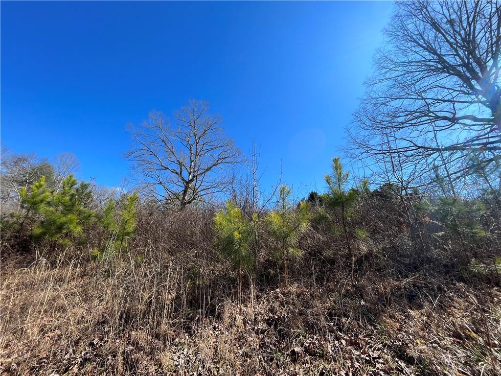 0 Oak Valley Court
