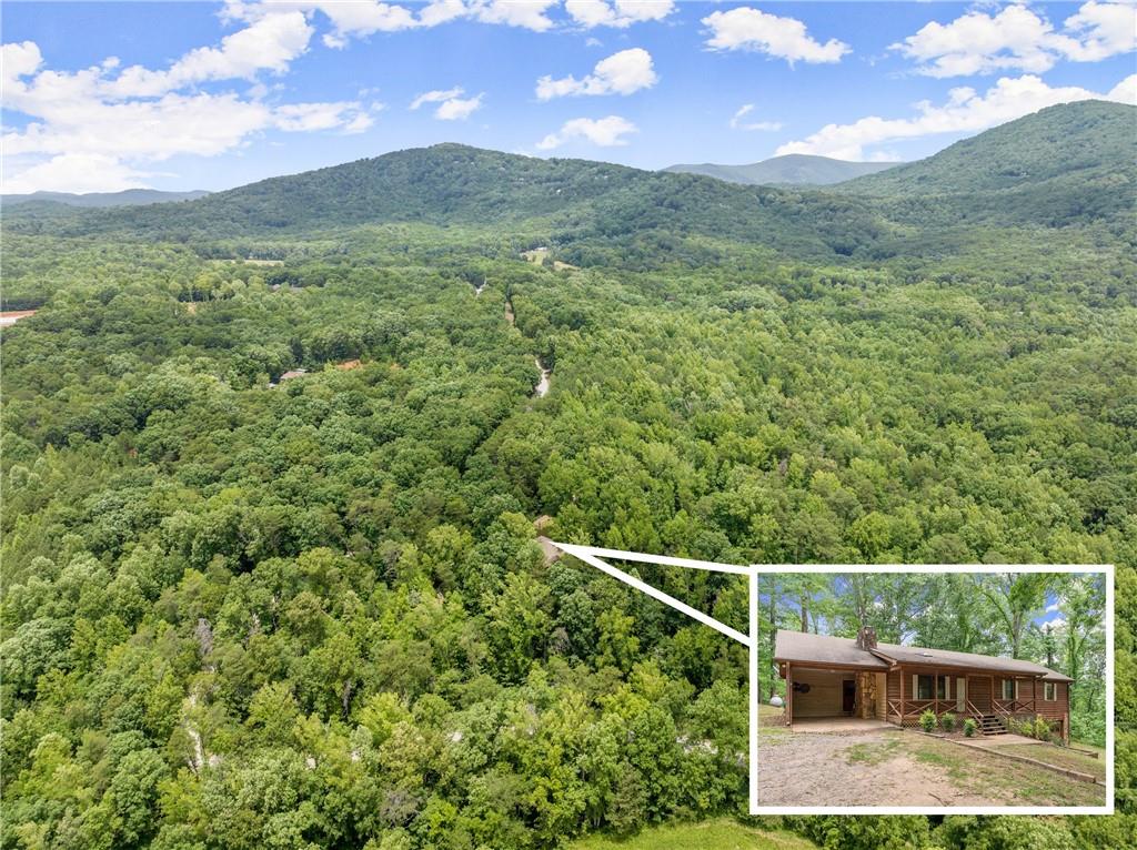 293 Long Swamp Church Road