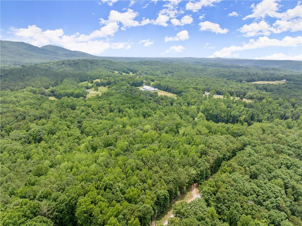 293 Long Swamp Church Road