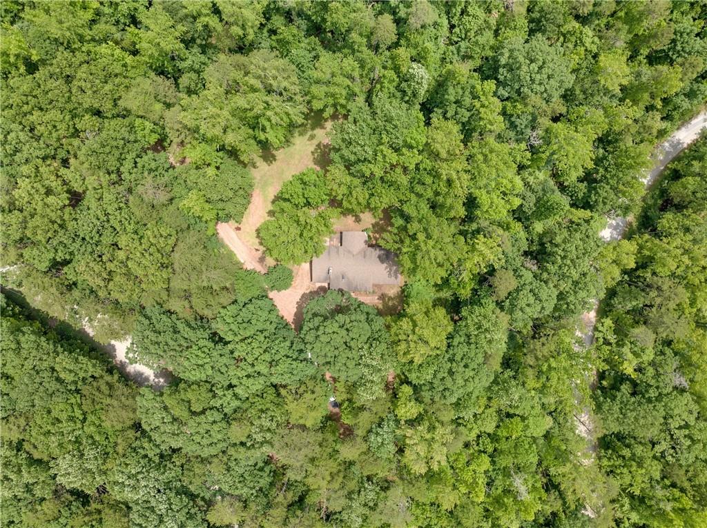 293 Long Swamp Church Road