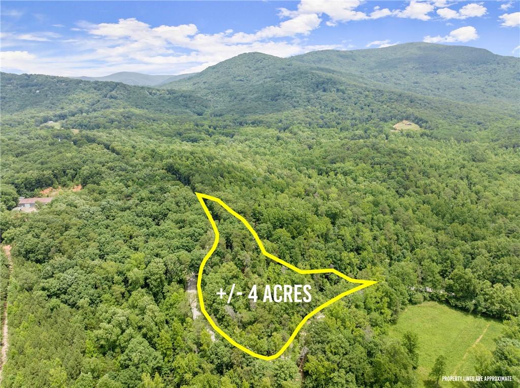 293 Long Swamp Church Road