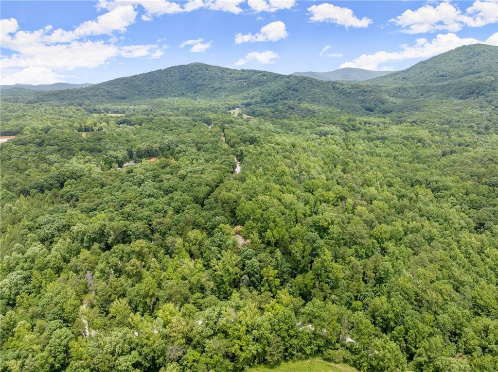 293 Long Swamp Church Road