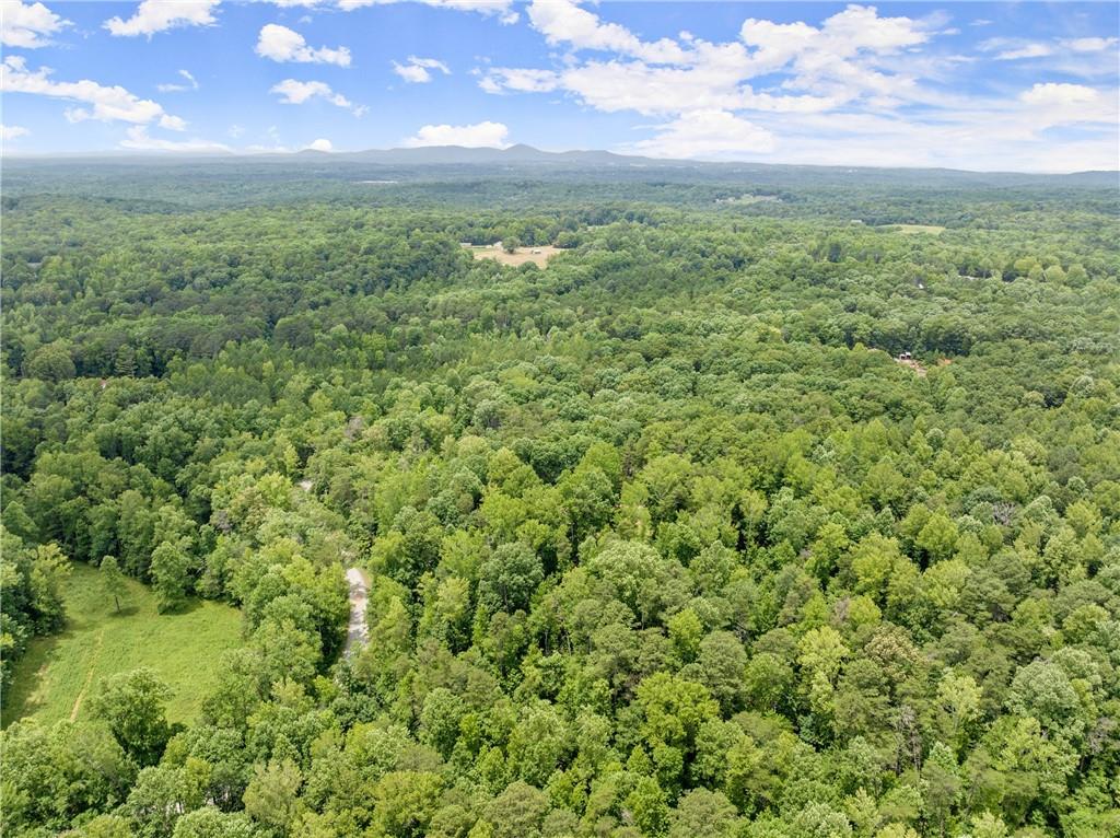 293 Long Swamp Church Road