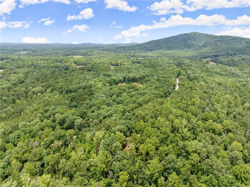 293 Long Swamp Church Road