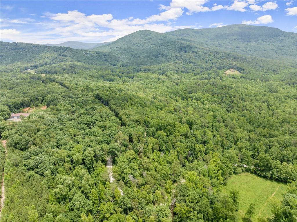 293 Long Swamp Church Road