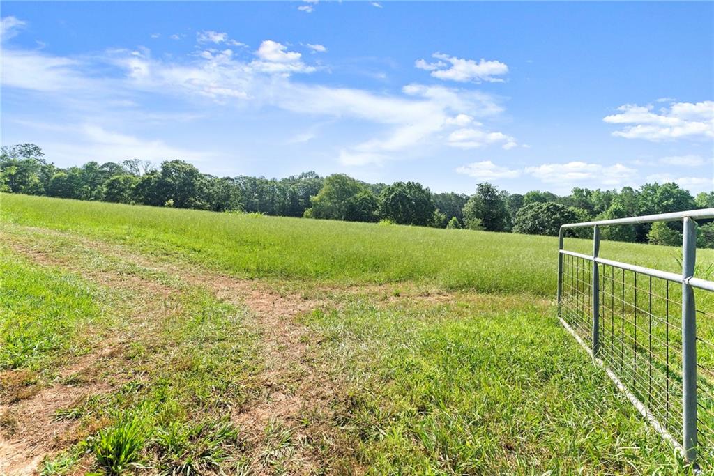 442 Dollar Road