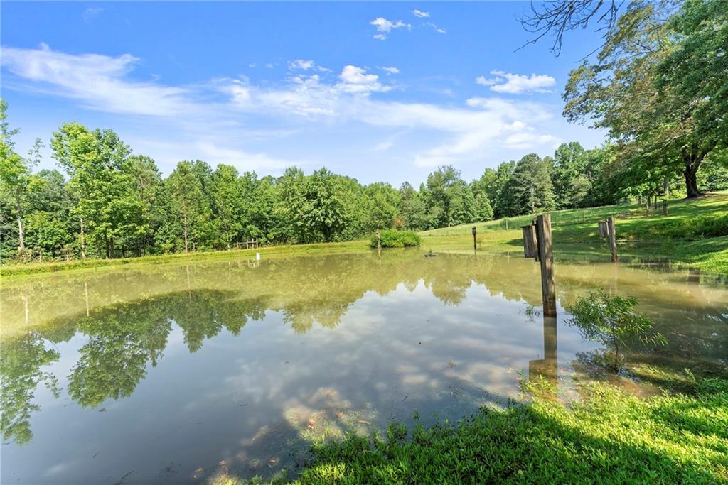 442 Dollar Road