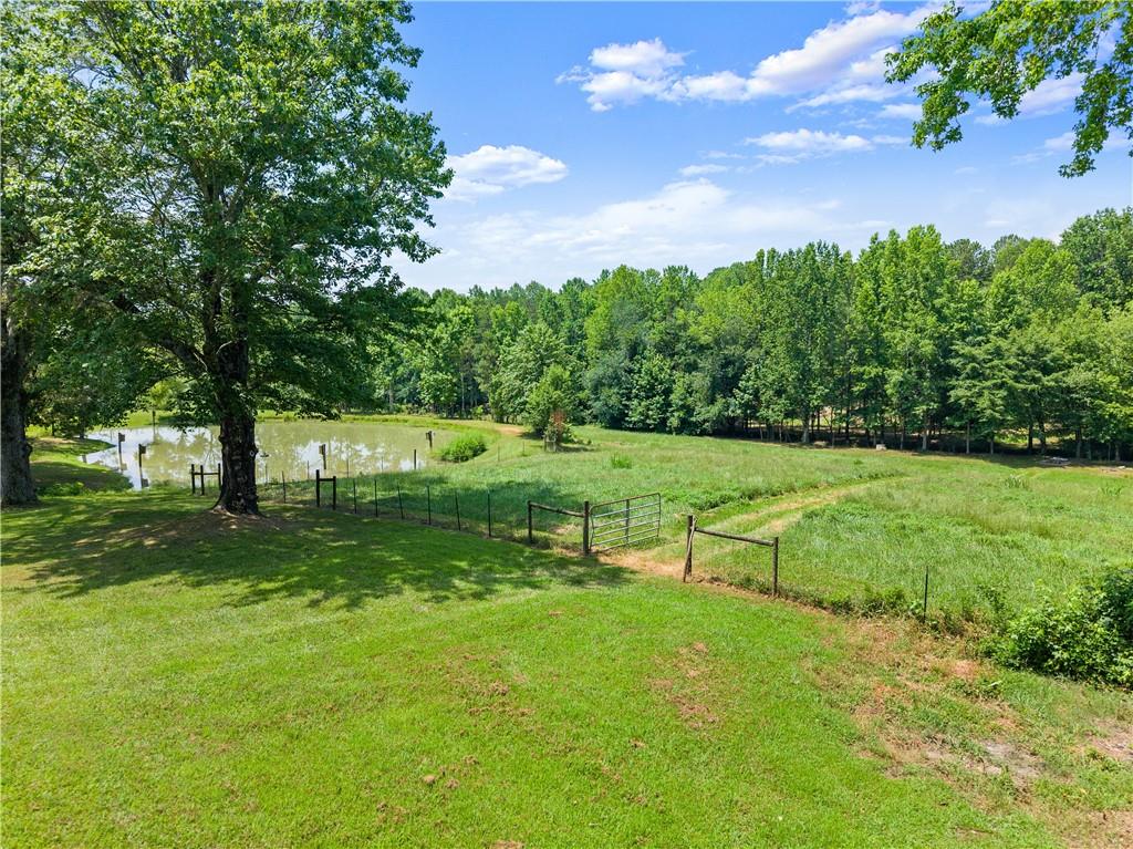 442 Dollar Road