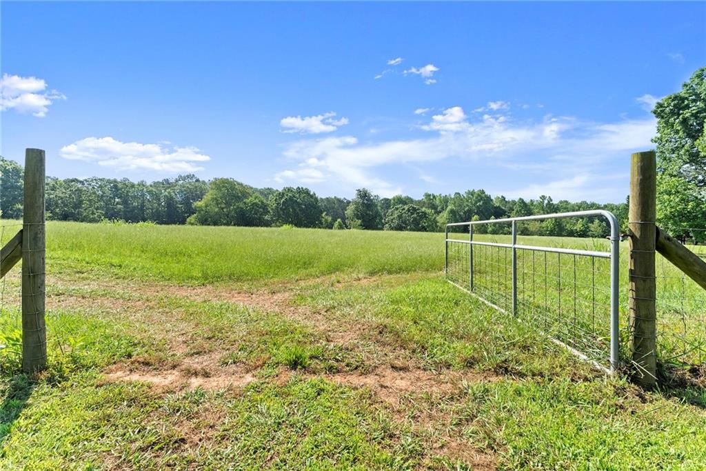 442 Dollar Road