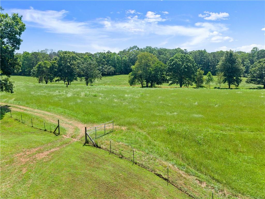 442 Dollar Road