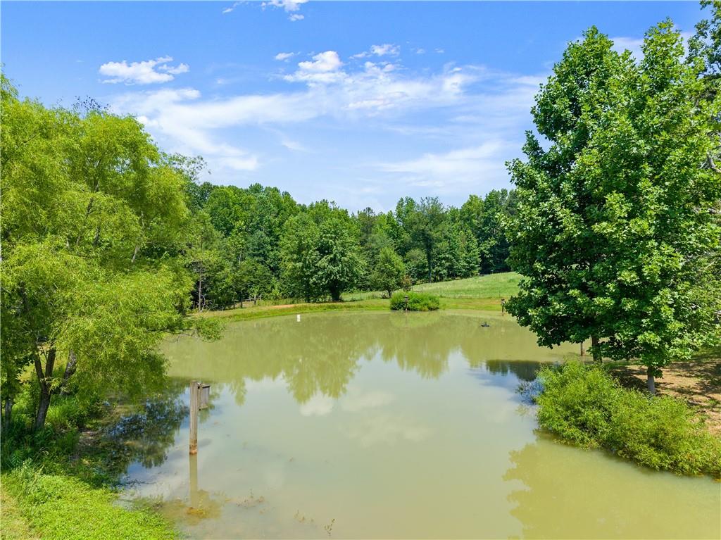 442 Dollar Road