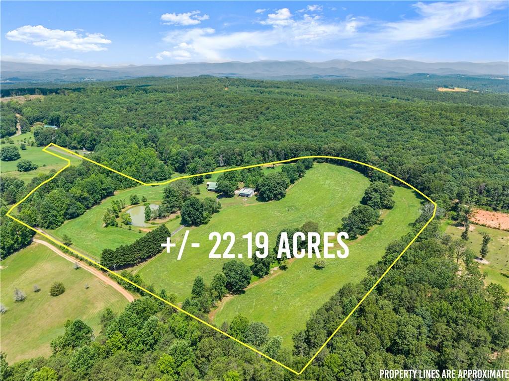 442 Dollar Road