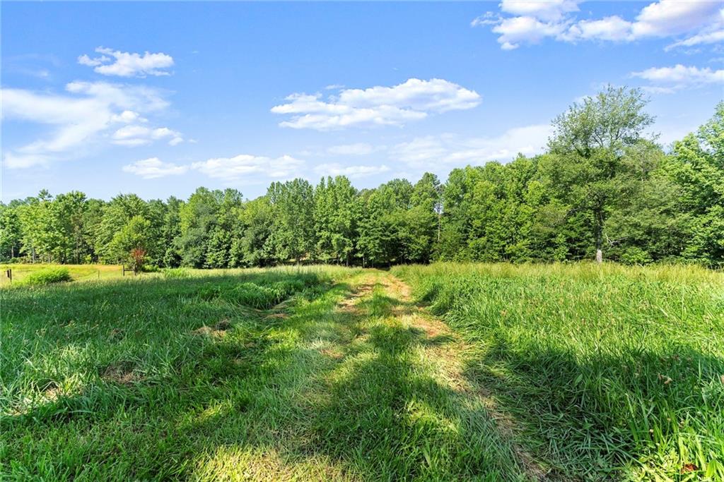 442 Dollar Road