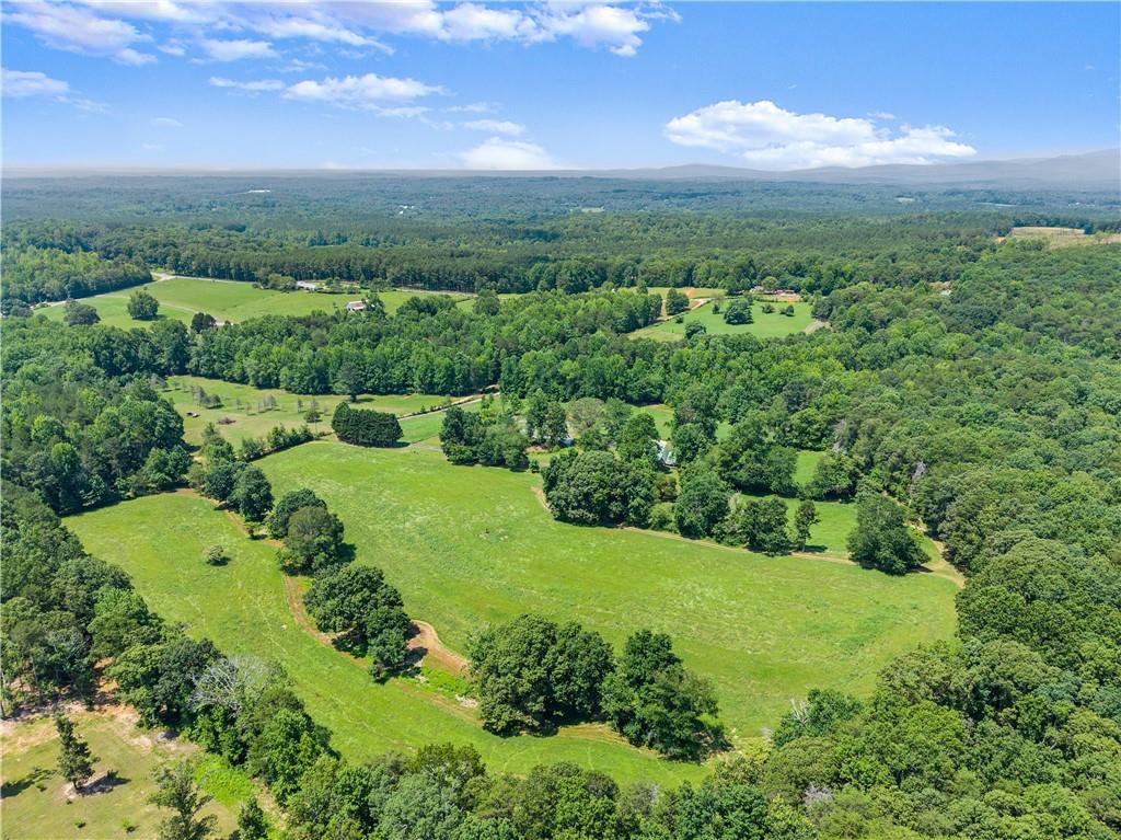 442 Dollar Road