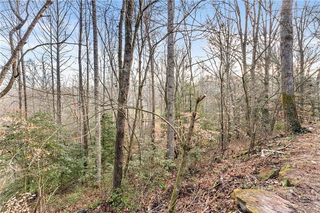 62 Dogwood Trail