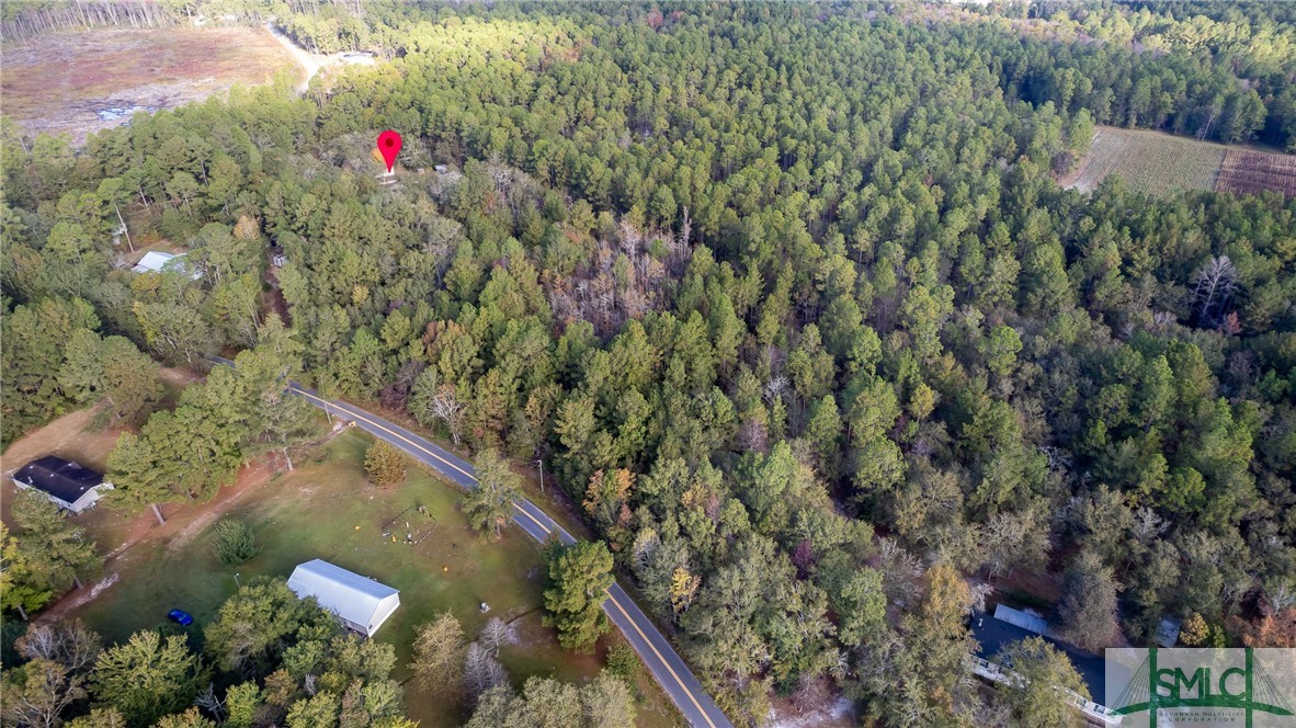 123 Bird Road