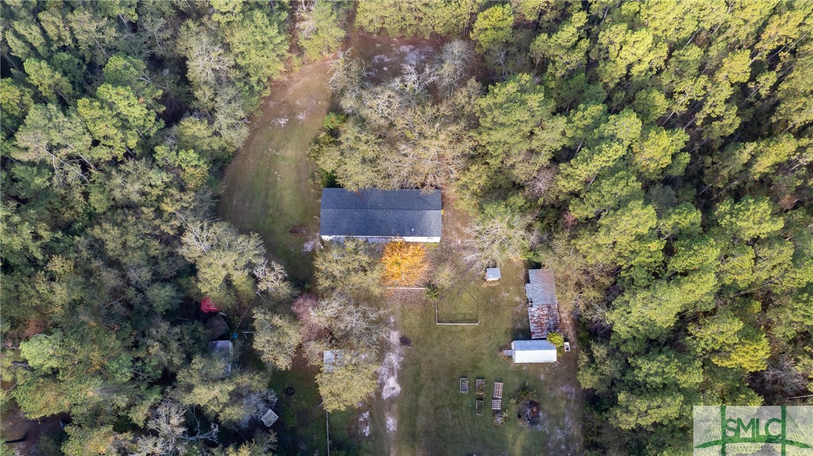 123 Bird Road