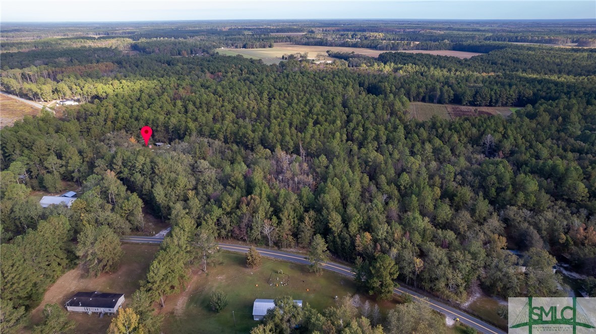 123 Bird Road