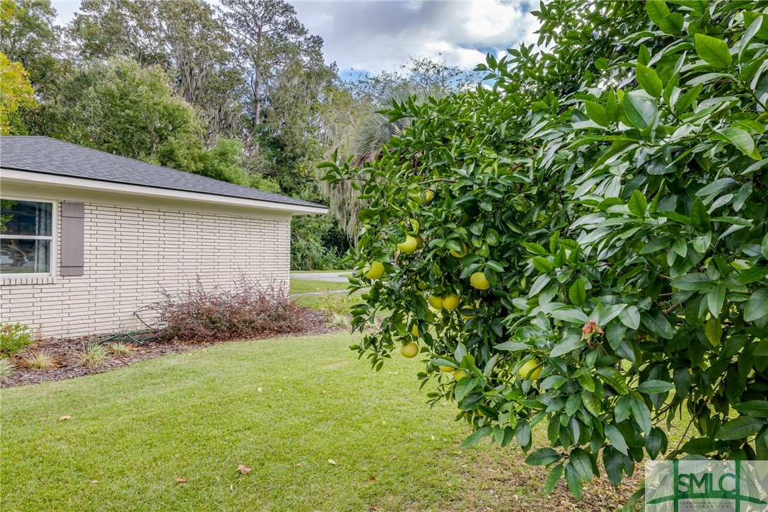 1132 Meridian Drive