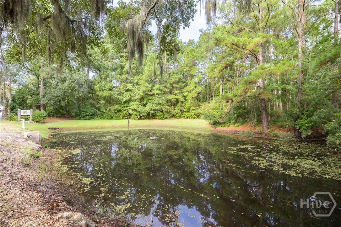 161 S Sterling Woods Drive