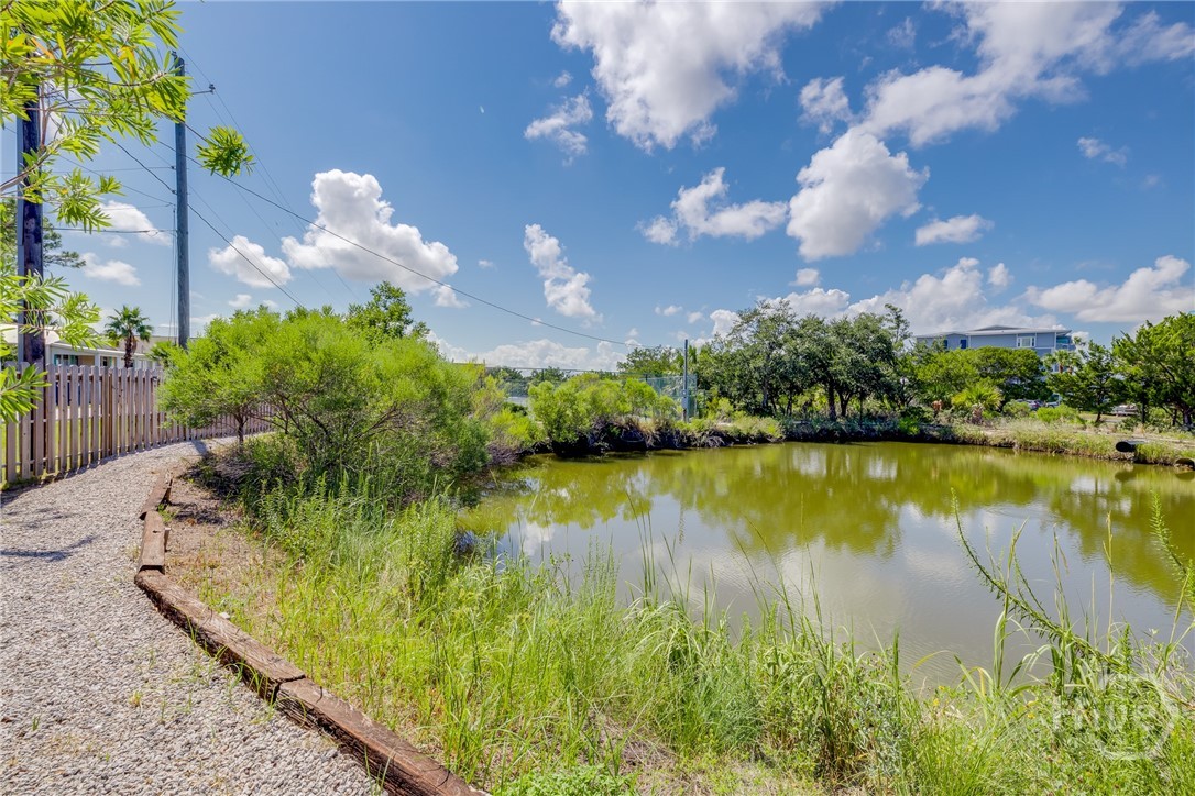 1217 Bay Street 109B