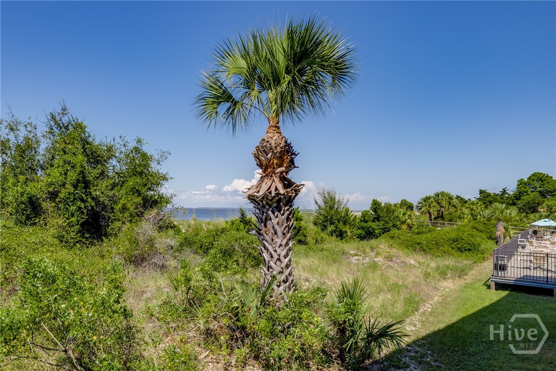 1217 Bay Street 109B