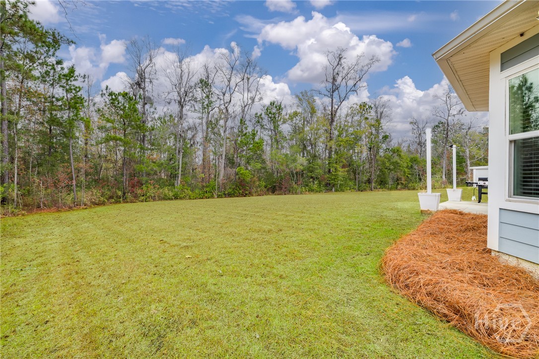 118 Moor Hen Landing