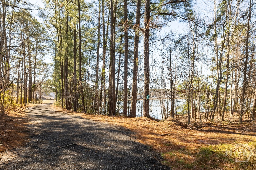 10 Steel Magnolia Lane