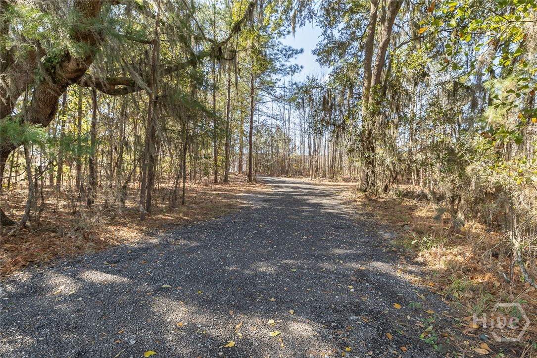 10 Steel Magnolia Lane