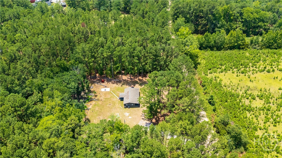 4112 Seed Tick Road