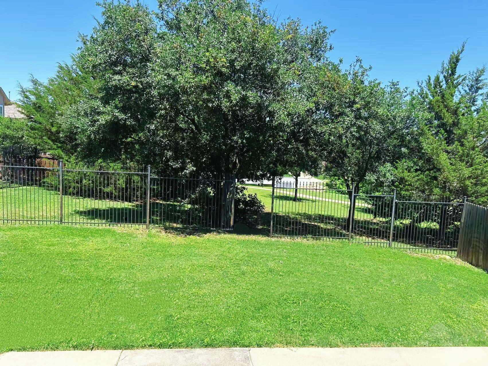 9916 Delamere Drive