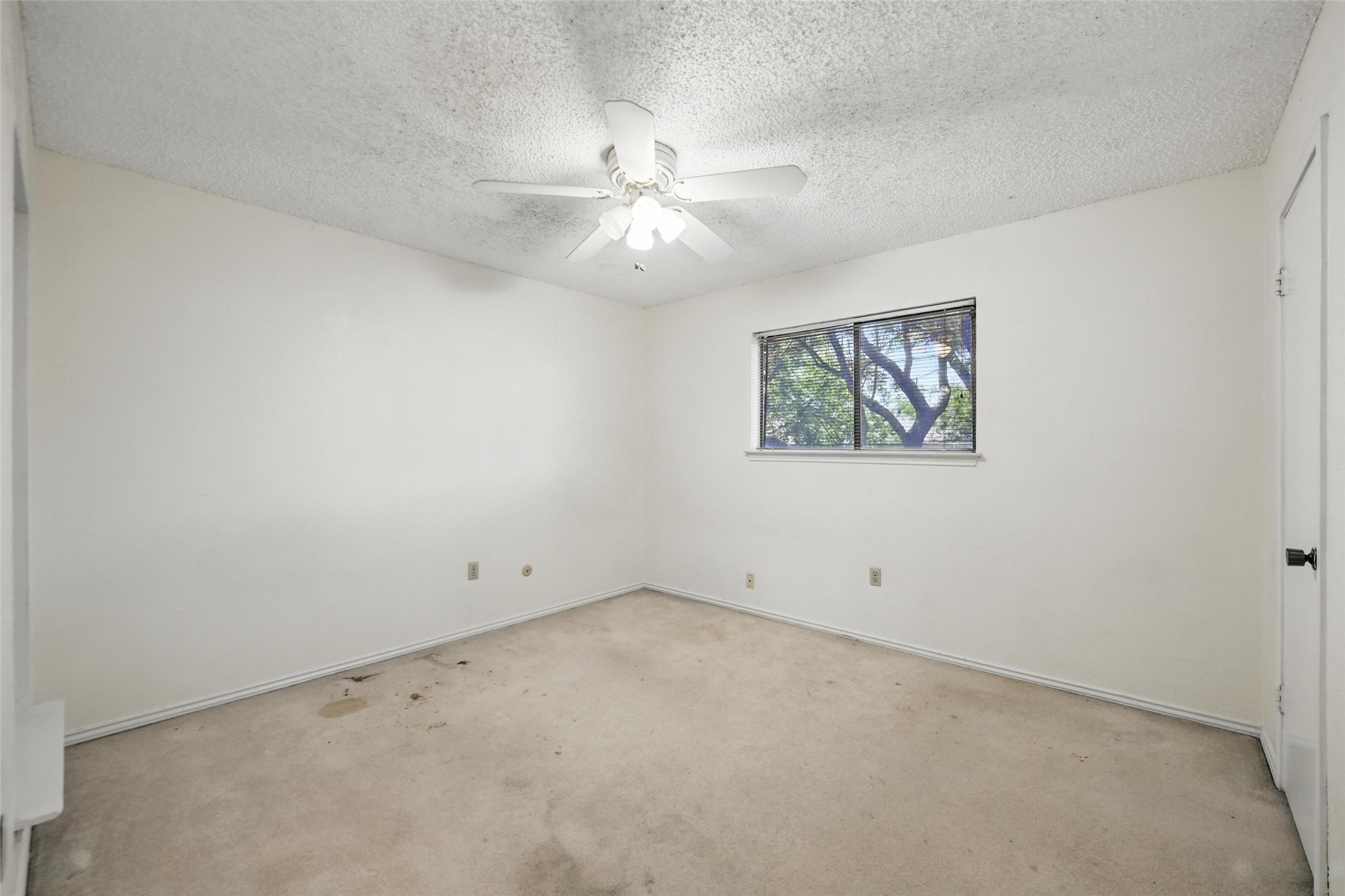 1111 Wilshire Drive