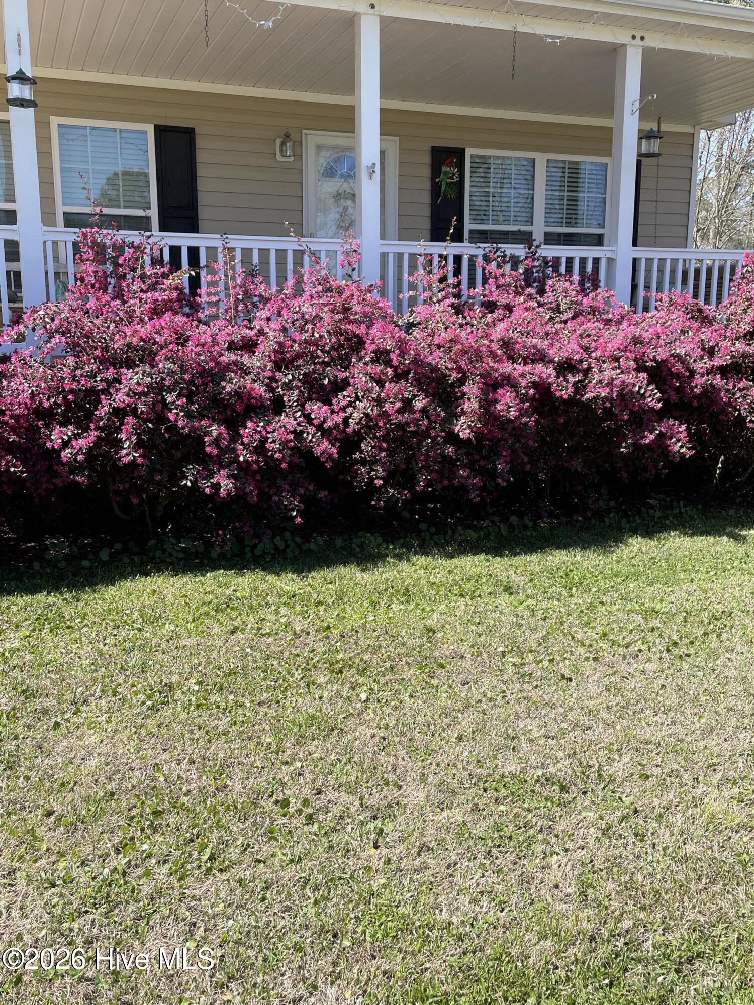 540 Meadow Lane