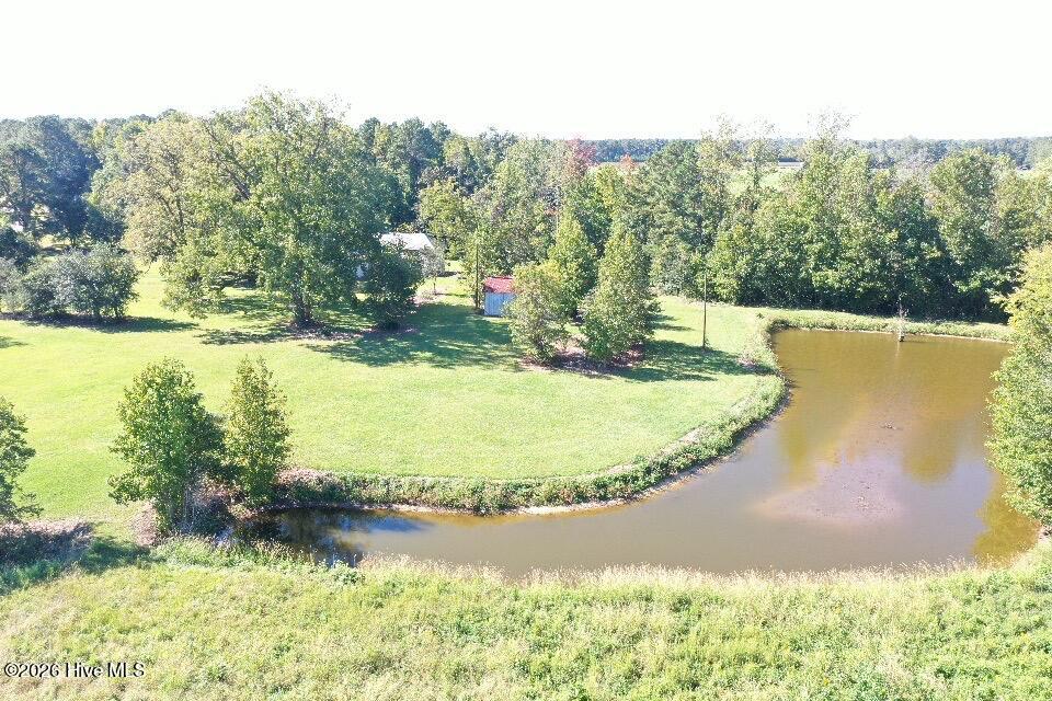 Aerial view of a tree-lined lawn beside a winding pond, with small outbuildings.