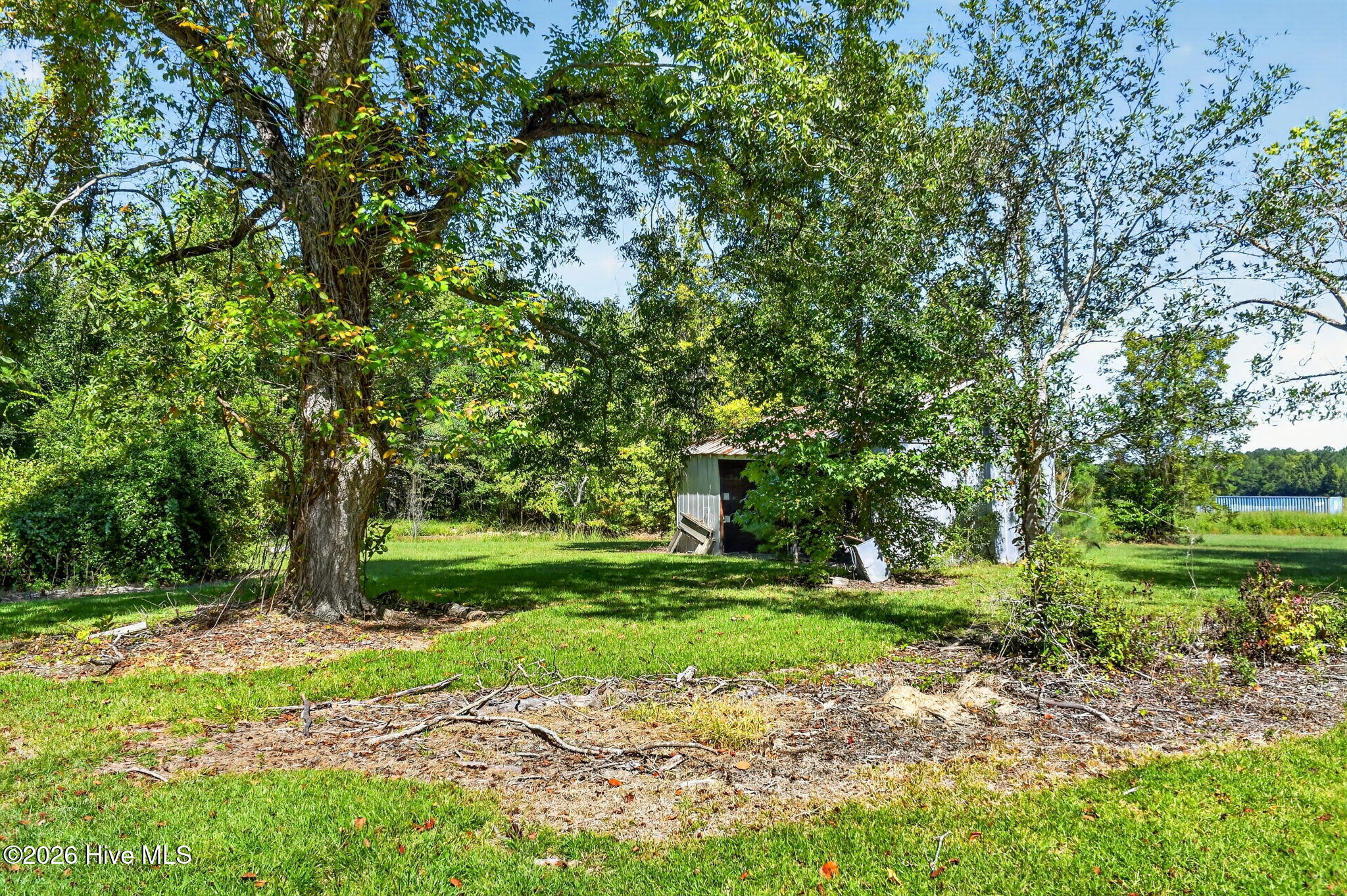 Grassy yard with mature trees and a small outbuilding partly hidden by foliage.