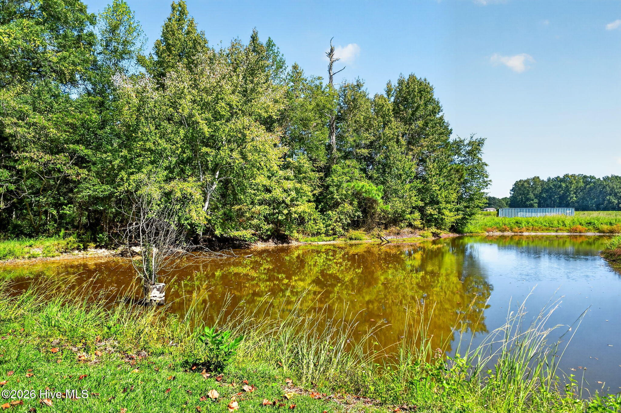 Pond bordered by trees and grasses, with an open field in the distance.