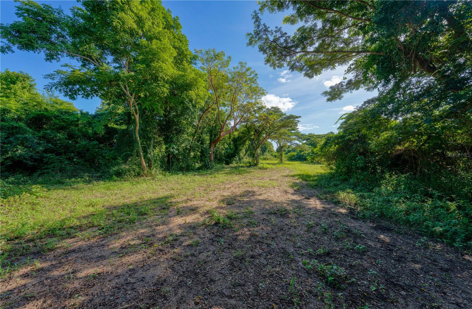 Lot 2 78 PUERTO FERRO