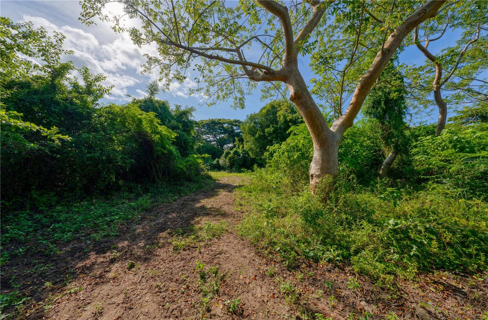 Lot 2 78 PUERTO FERRO