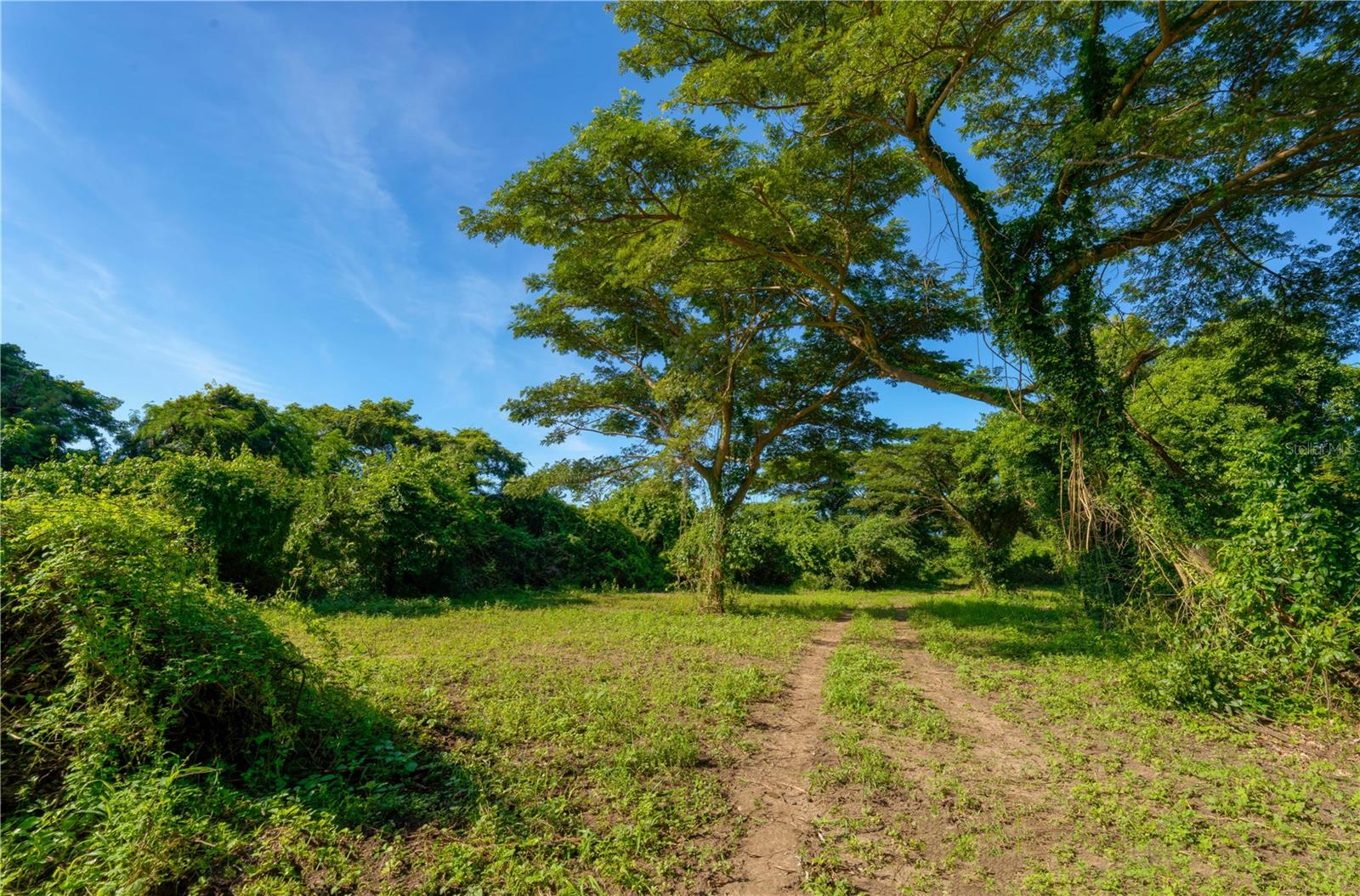 Lot 2 78 PUERTO FERRO