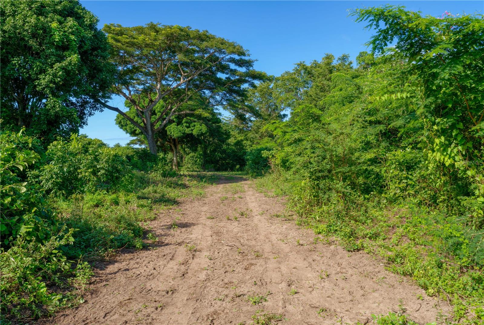 Lot 2 78 PUERTO FERRO