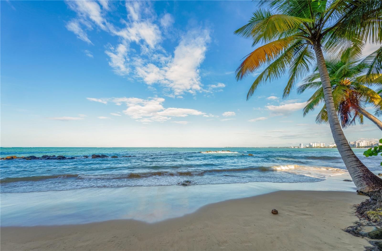 3307 ISLA VERDE AVE #1202