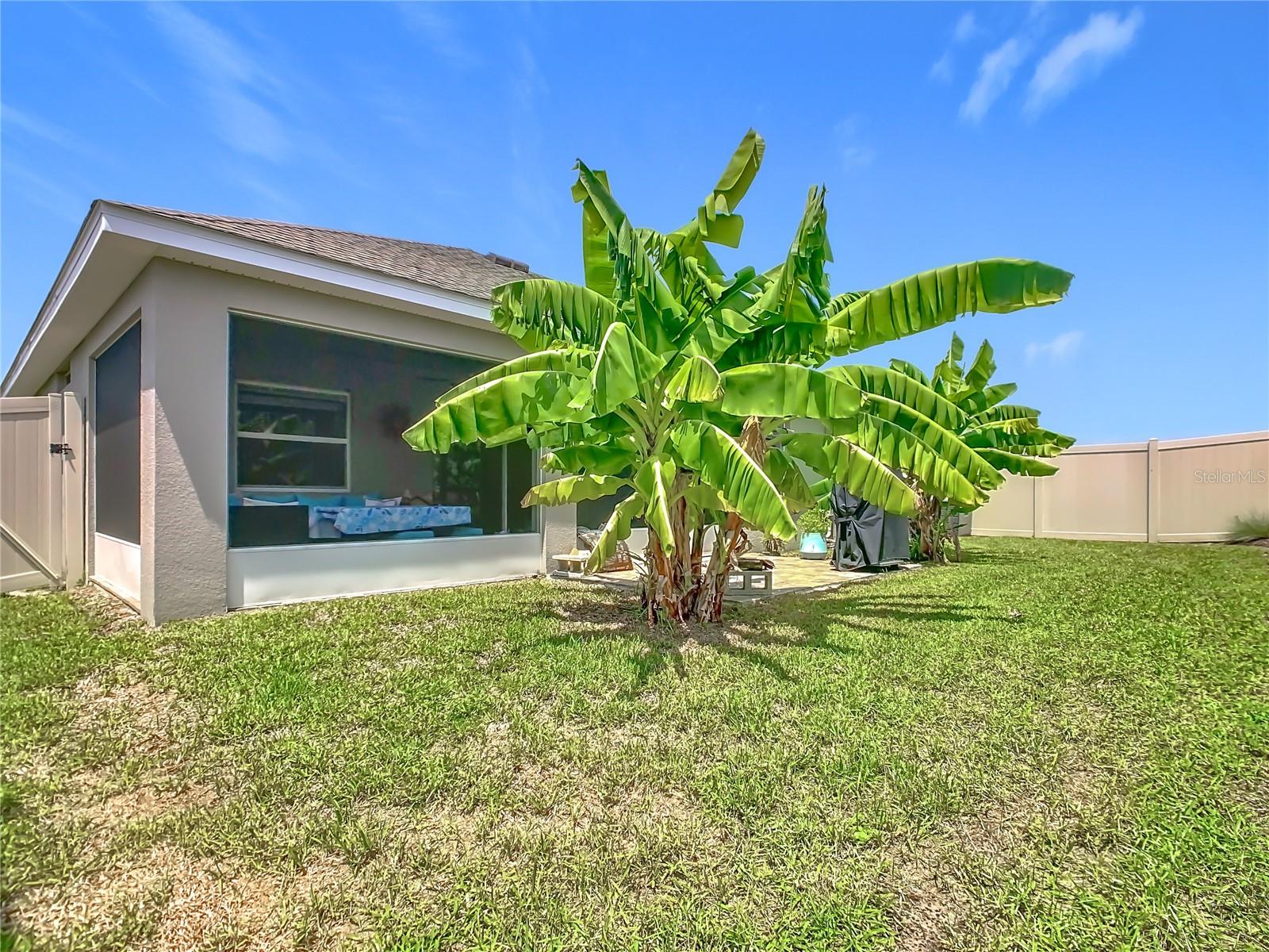 681 VITTORIO DR