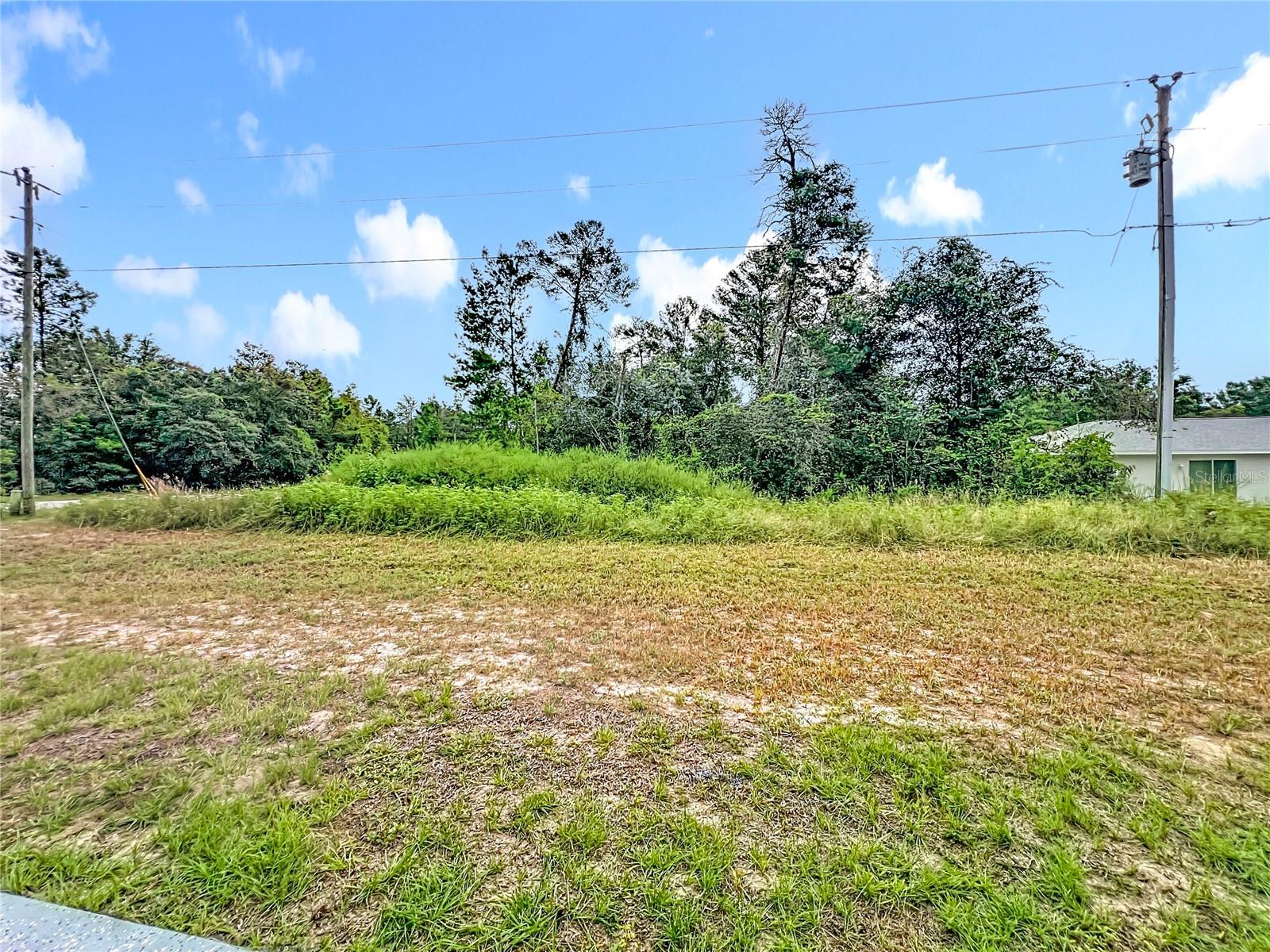 527 MARION OAKS MNR